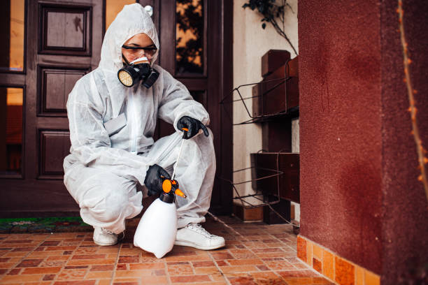 Reliable Mosquito Control contractor in Ozark, AL by Nex Pest Control